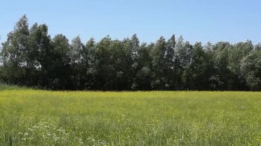 Sakin doğal manzara manzara görüntüleri