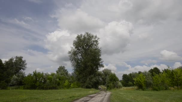 Mooie Beelden Van Rustige Natuurlijke Landschap — Stockvideo