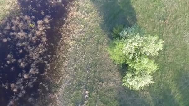 Aerial Footage Lugna Naturliga Landskapet — Stockvideo