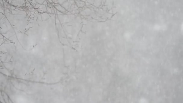 Close Footage Heavy Snowfall Blurred Background — Stock Video