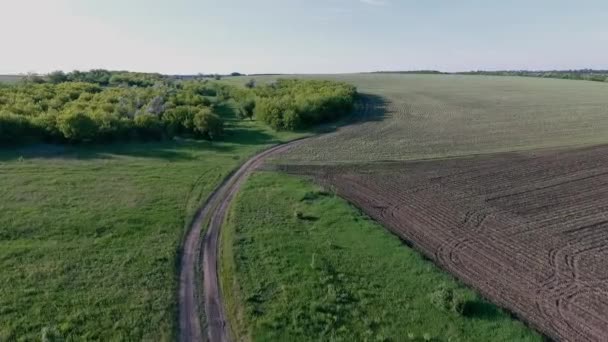 Luchtfoto Beelden Van Rustige Natuurlijke Landschap — Stockvideo