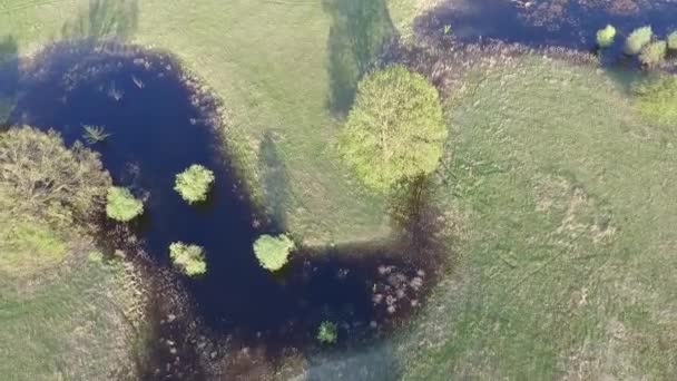 静かな自然の風景の空中映像 — ストック動画