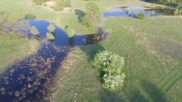 Imagens Aéreas Paisagem Natural Tranquila — Vídeo de Stock