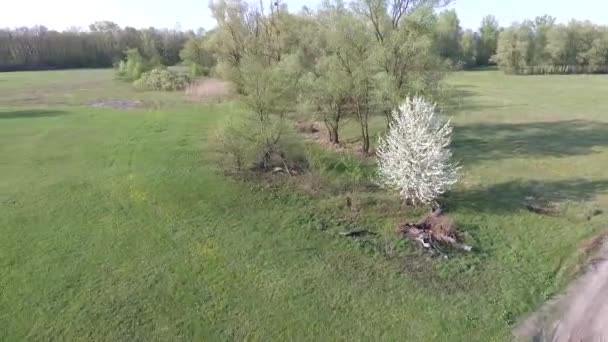 Imagens Aéreas Paisagem Natural Tranquila — Vídeo de Stock