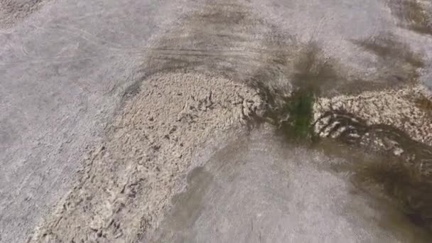 Images Aériennes Panoramiques Champ Agricole Des Arbres Hiver — Video