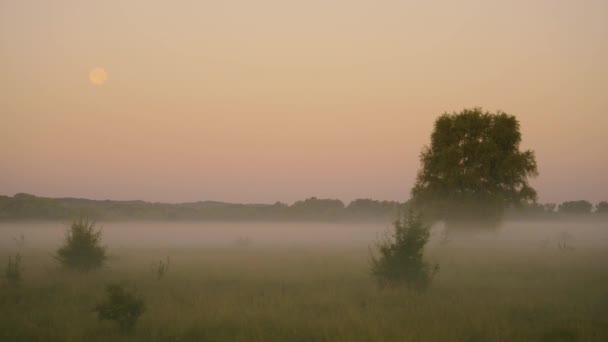 Imágenes Escénicas Hermoso Paisaje Niebla — Vídeo de stock
