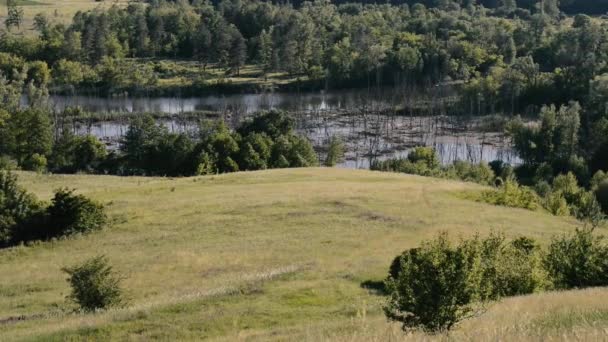 Luftaufnahmen Einer Ruhigen Naturlandschaft — Stockvideo