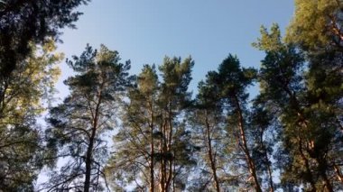 Sakin doğal manzara manzara görüntüleri