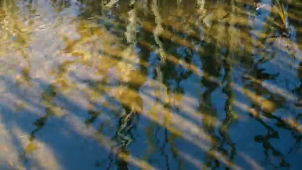 Rustige Beelden Van Golvend Wateroppervlak Van Rivier — Stockvideo