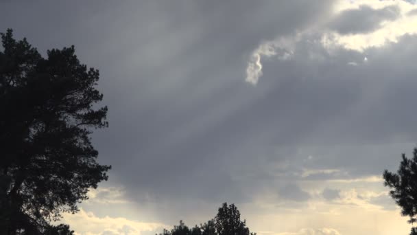 Imágenes Escénicas Paisaje Tranquilo Con Nubes Tormentosas Por Encima — Vídeos de Stock