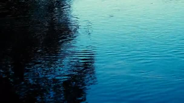 川の波状の水面の静かな映像 — ストック動画