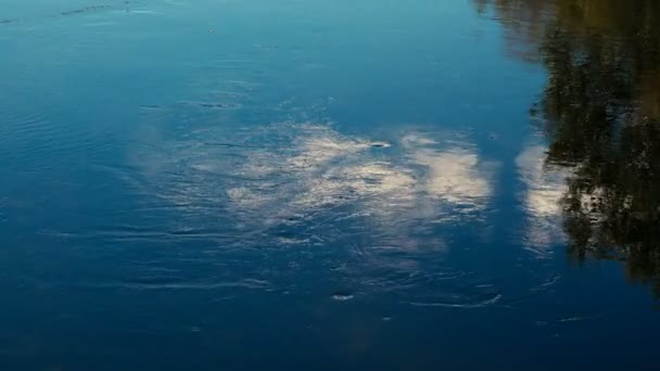 Rustige Beelden Van Golvend Wateroppervlak Van Rivier — Stockvideo