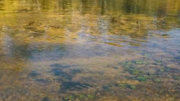 Спокійні Кадри Хвилястої Водної Поверхні Річки — стокове відео