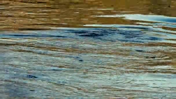 Ruhige Aufnahmen Der Welligen Wasseroberfläche Des Flusses — Stockvideo