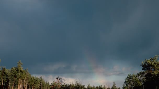 Imagens Cênicas Paisagem Tranquila Com Nuvens Tempestuosas Acima — Vídeo de Stock