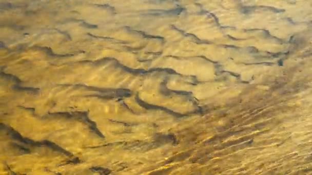 Imágenes Tranquilas Superficie Agua Ondulada Del Río — Vídeo de stock