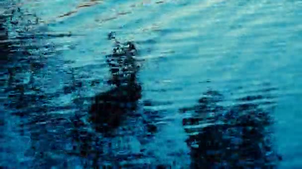 Спокійні Кадри Хвилястої Водної Поверхні Річки — стокове відео