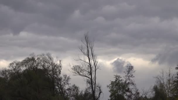 Живописные Кадры Спокойного Ландшафта Грозовыми Облаками Над Головой — стоковое видео