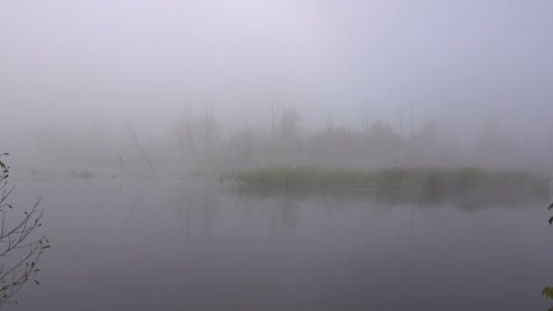 Szenische Aufnahmen Des Schönen Nebels Über Dem See — Stockvideo