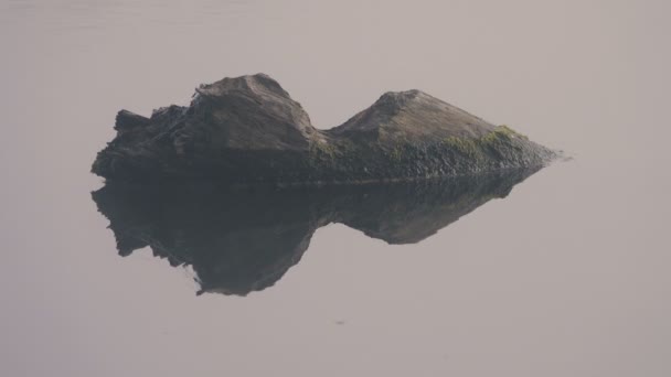 Tranquillo Filmato Della Superficie Ondulata Del Fiume — Video Stock