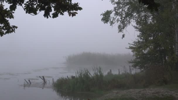 Riprese Panoramiche Una Bella Nebbia Sul Lago — Video Stock