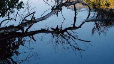 nehrin dalgalı su yüzeyinin sakin görüntüleri