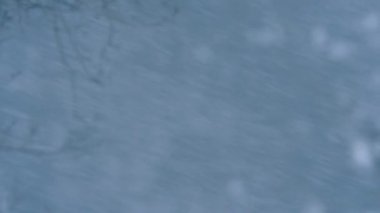 bulanık arka planda ağır kar yağışı yakın çekim görüntüleri