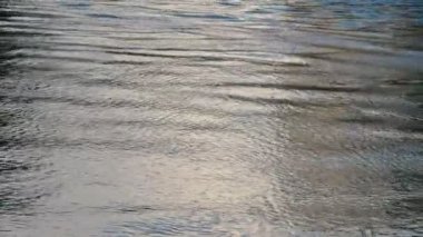 nehrin dalgalı su yüzeyinin sakin görüntüleri