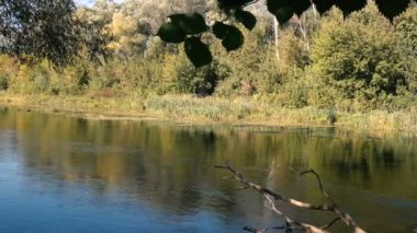 akan su önünde ağaç dalları nın doğal görüntüleri