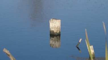 nehrin dalgalı su yüzeyinin sakin görüntüleri