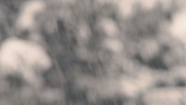 Nahaufnahmen Von Starkem Schneefall Auf Verschwommenem Hintergrund — Stockvideo