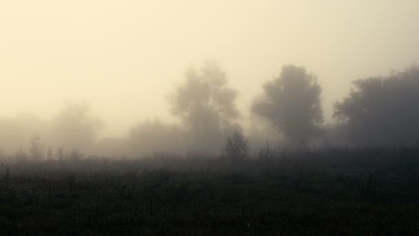 美しい霧の風景の風光明媚な映像 — ストック動画