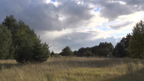 Szenische Aufnahmen Einer Ruhigen Landschaft Mit Stürmischen Wolken Über — Stockvideo