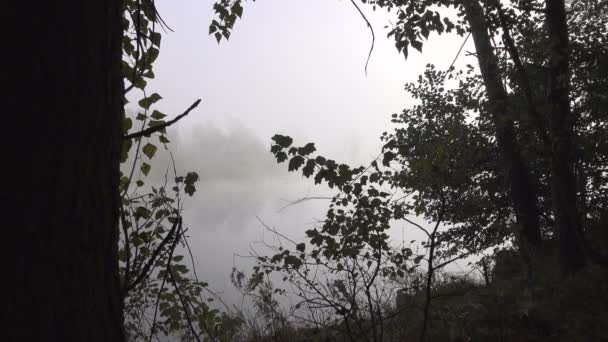 Images Panoramiques Beau Brouillard Sur Lac — Video