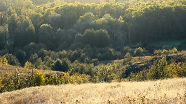 Séquences Panoramiques Paysage Naturel Tranquille — Video