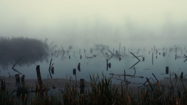 Szenische Aufnahmen Des Schönen Nebels Über Dem See — Stockvideo