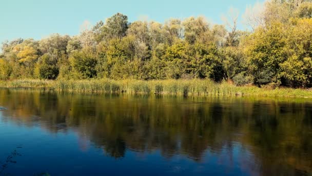 Szenische Aufnahmen Einer Ruhigen Naturlandschaft Mit Fluss — Stockvideo