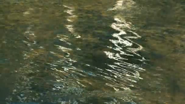 Imágenes Tranquilas Superficie Agua Ondulada Del Río — Vídeo de stock