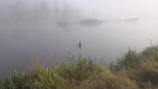 湖の上の美しい霧の風光明媚な映像 — ストック動画