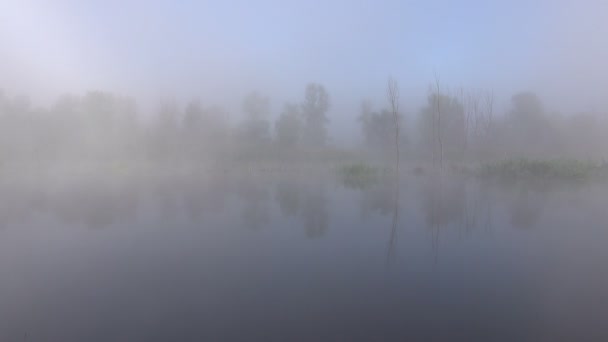 Schilderachtige Beelden Van Mooie Mist Meer — Stockvideo