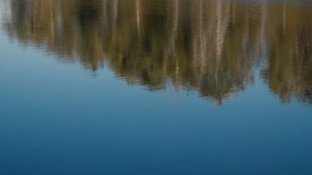 Спокійні Кадри Хвилястої Водної Поверхні Річки — стокове відео