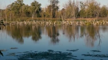 nehir ile huzurlu doğal peyzaj manzaralı görüntüleri