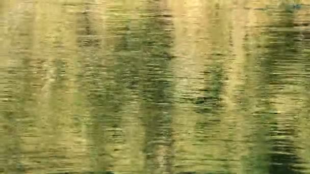 Ruhige Aufnahmen Der Welligen Wasseroberfläche Des Flusses — Stockvideo