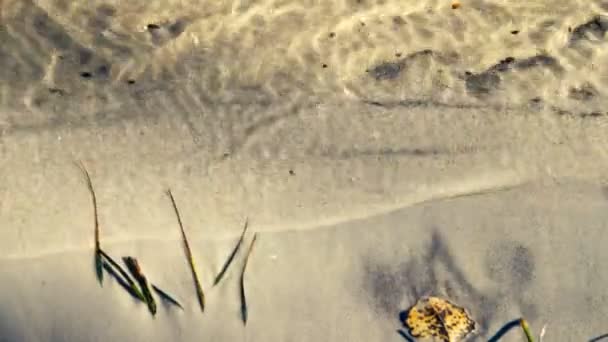 images tranquilles de surface ondulée de l'eau de la rivière 