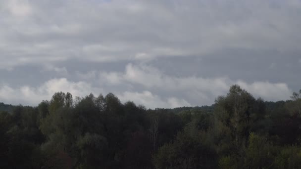 Natursköna Bilder Vacker Grön Skog Molnigt Himmel — Stockvideo