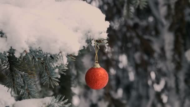 森の中のクリスマスオーナメントと豪雪のクローズアップ映像 — ストック動画