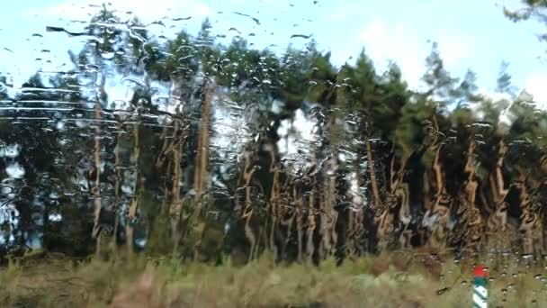 Malownicze Zdjęcia Pięknego Zielonego Lasu Mokrym Oknem Samochodu Pierwszym Planie — Wideo stockowe
