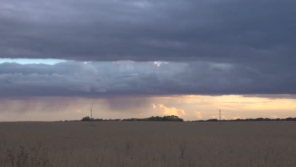 Hermoso Cielo Colorido Atardecer — Vídeos de Stock