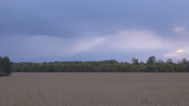 Bellissimo Cielo Colorato Tramonto — Video Stock