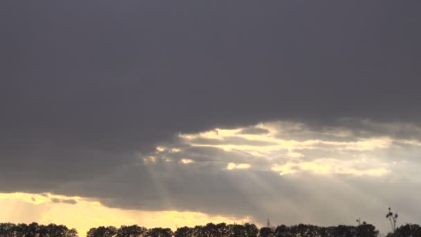 美丽多彩的天空在日落 — 图库视频影像